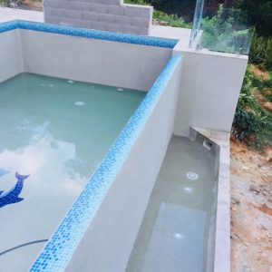 Empty-pool-with-dolphin-print - Pool & Spa in Kuranda, QLD