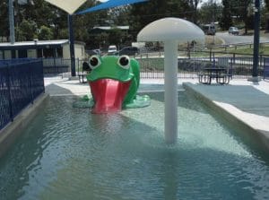 Frog-in-the-pool - Pool & Spa in Kuranda, QLD