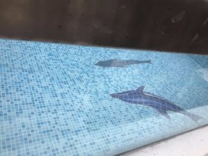 Mosaic Dolphins